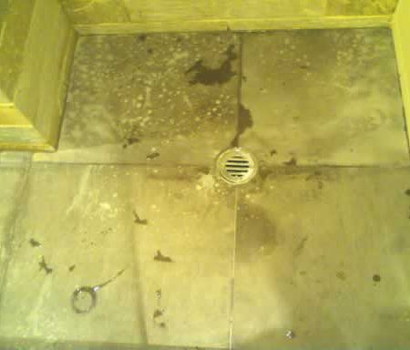 Pale Discoloration Caused by Caustic Bleach Cleaner<br>Limestone Shower Floor