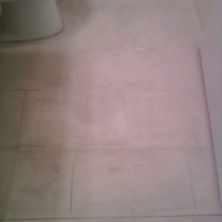 Soiled Bathroom Limestone Floor