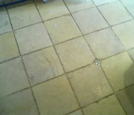 Marble and Grout Cleaning