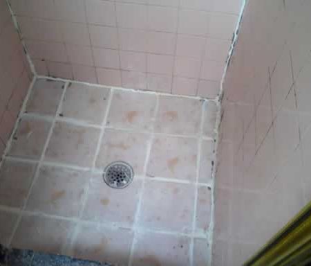 Mold on Ceramic Tiles. Shower Stall Disrepair