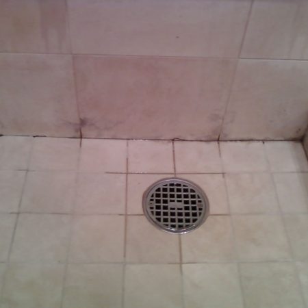 Mold on Marble Tiles in Shower Stall