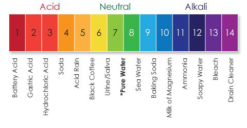 pH scale