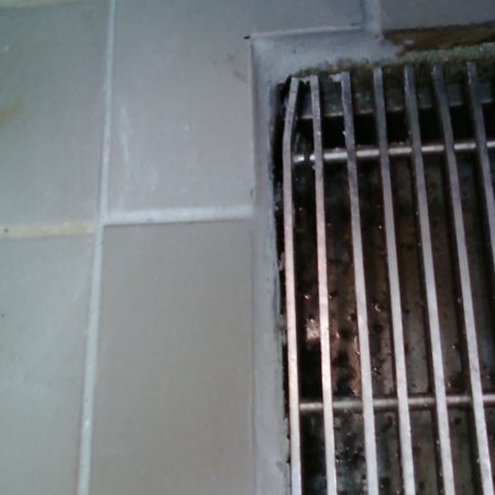 Replaced and Trimmed Porcelain Tiles by Drain