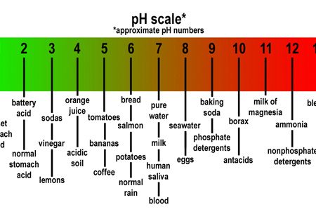 Acid Alkaline Scale