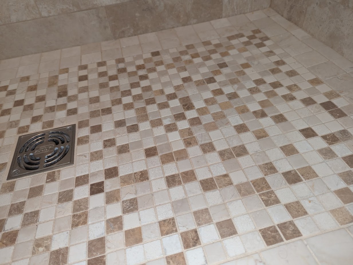 Cleaned Mold on Mosaic Floor