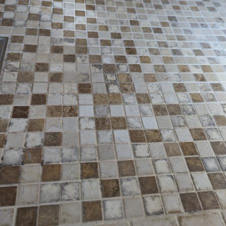 Moldy Mosaic Shower Floor