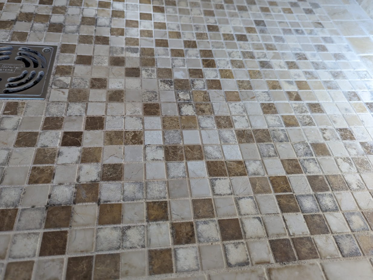 Black Mold on Mosaic Floor