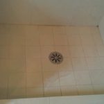 Shower Cabin Floor Re Grouting
