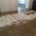 Terrazzo Floor Carpet Adhesive Removal