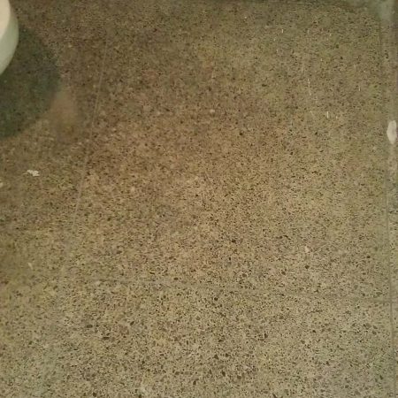 Terrazzo Restroom Janitorial Cleaning & Polishing