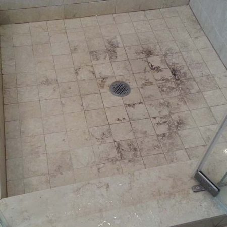 Black Mold & Efflorescence on Shower Floor around Drain Grid