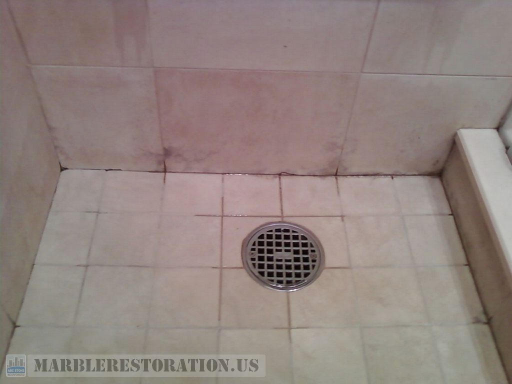 Mold in Shower Stall