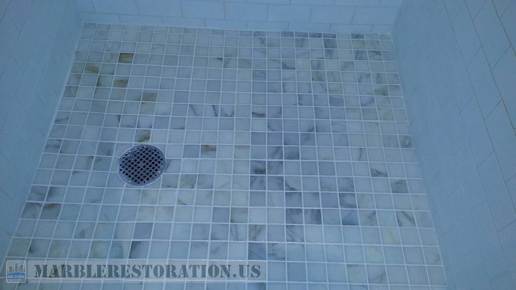 Calcium Builup, Mold and Efflorescence Removal White Mosaic Shower