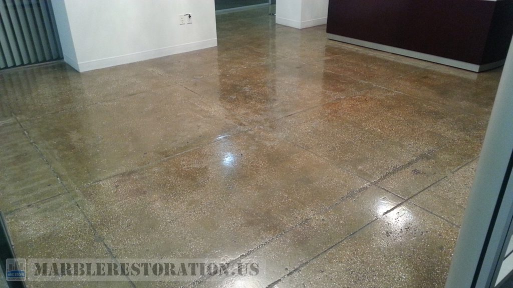 Terrazzo Floor Adhesive Stripping Removal