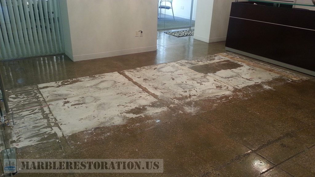Terrazzo Floor Carpet Adhesive Removal